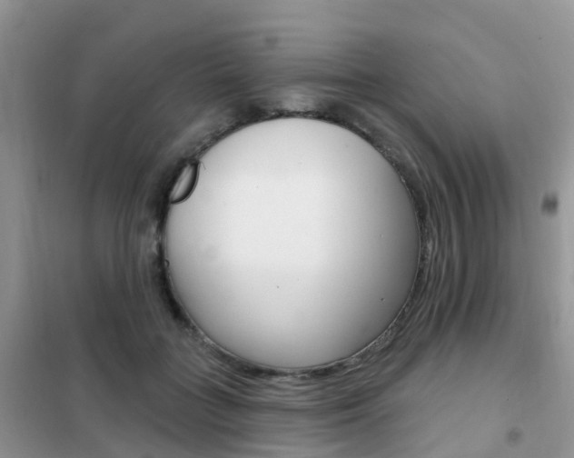 X0000102360555200808011002