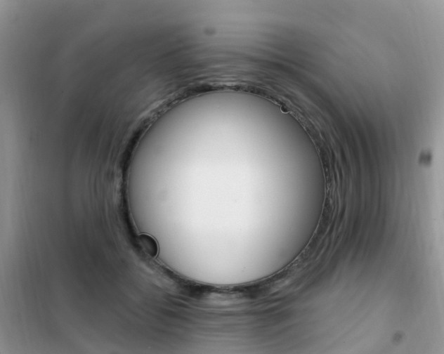 X0000102360556200808011002