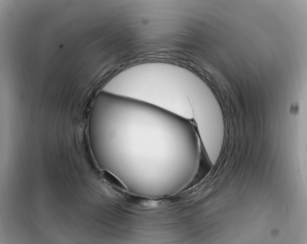 X0000102360558200808011002