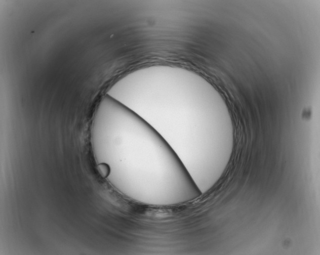 X0000102360559200808011002