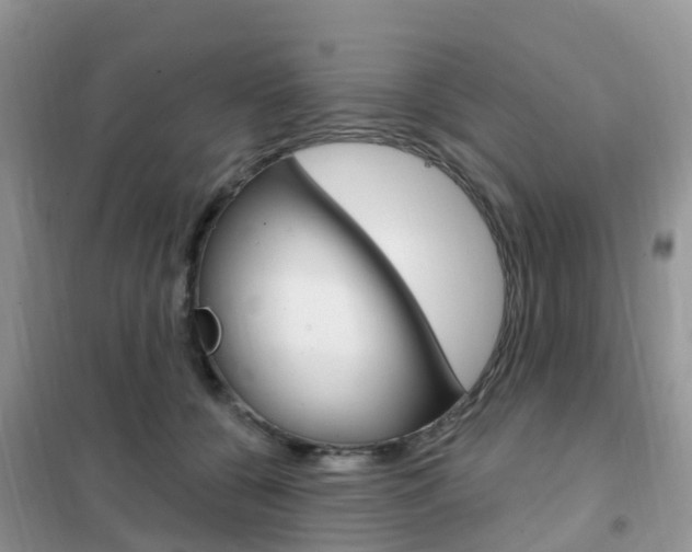 X0000102360560200808011002