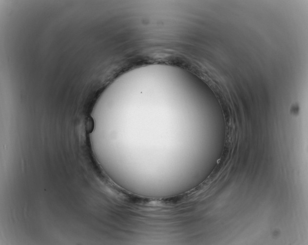 X0000102360562200808011002