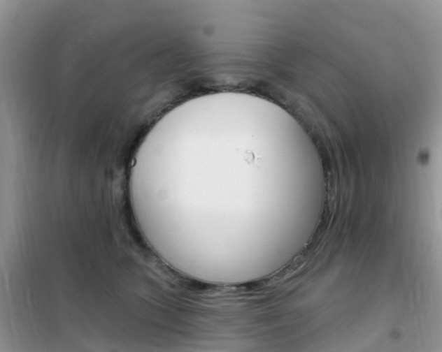 X0000102360563200808011002