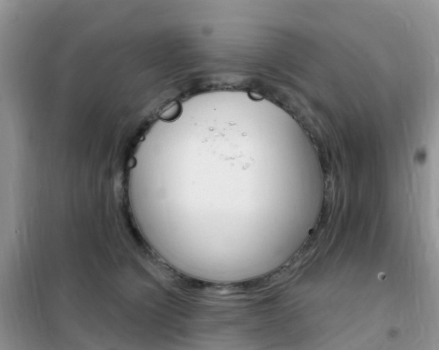 X0000102360564200808011002
