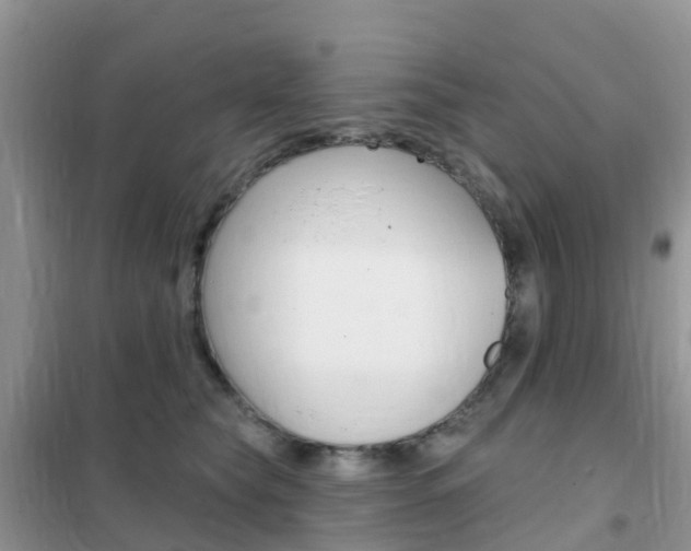 X0000102360565200808011002