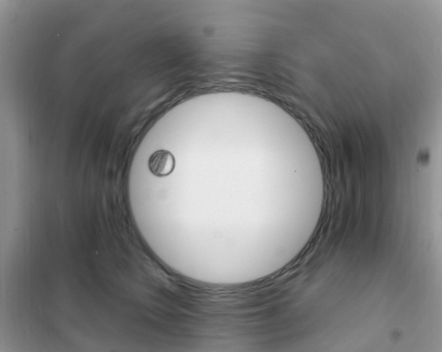 X0000102360566200808011002
