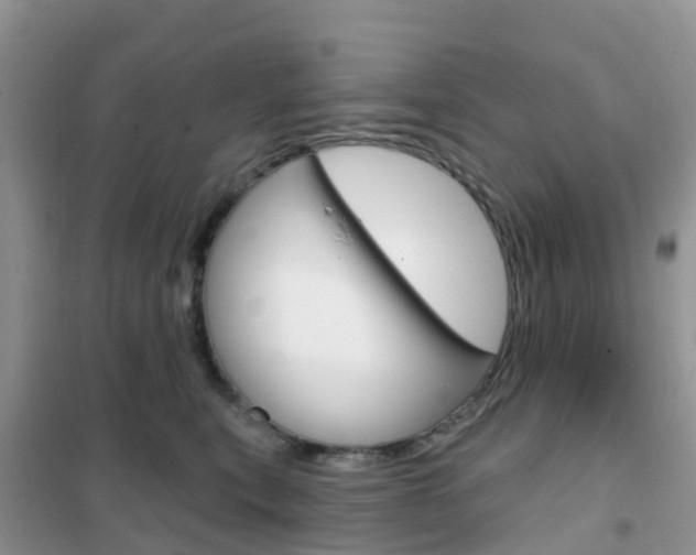 X0000102360567200808011002