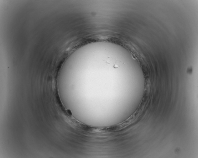 X0000102360568200808011002