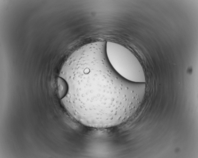 X0000102360569200808011002
