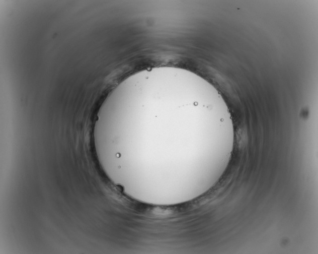 X0000102360570200808011002