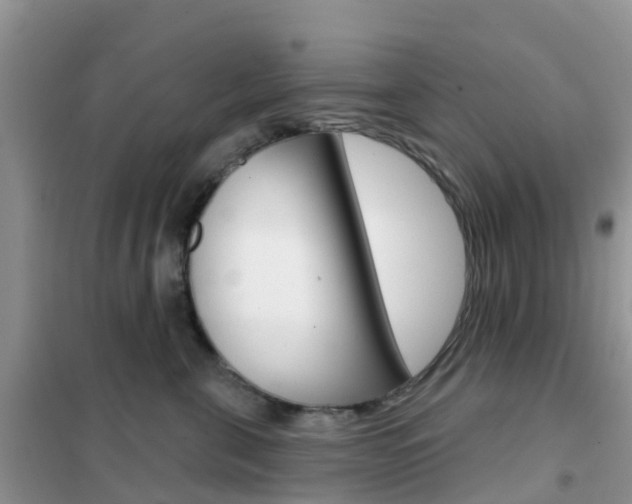 X0000102360571200808011002