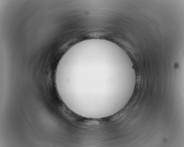 X0000102360572200808011002