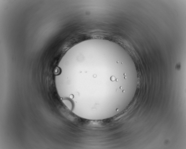 X0000102360573200808011002