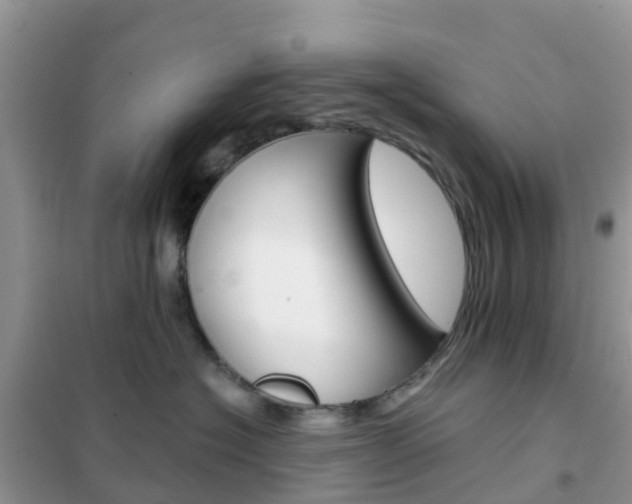 X0000102360574200808011002