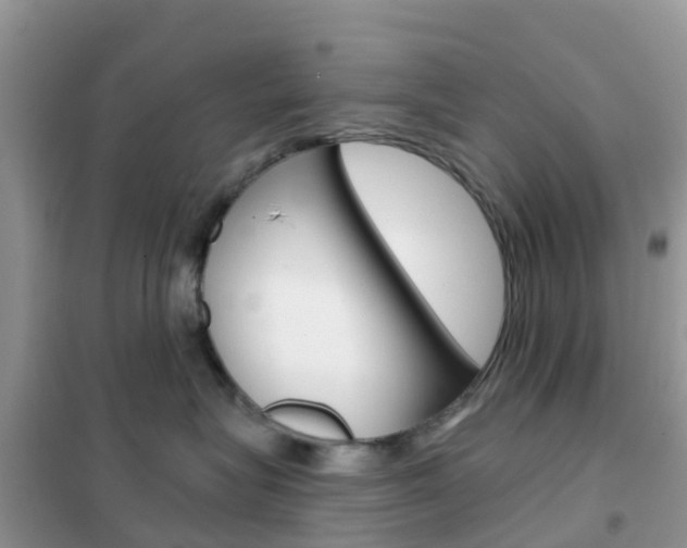X0000102360575200808011002