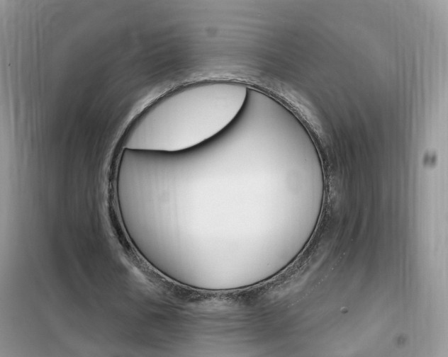 X0000102360578200808011001