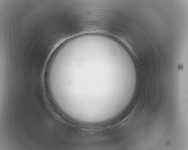 X0000102360579200808011001