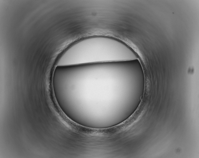 X0000102360581200808011001