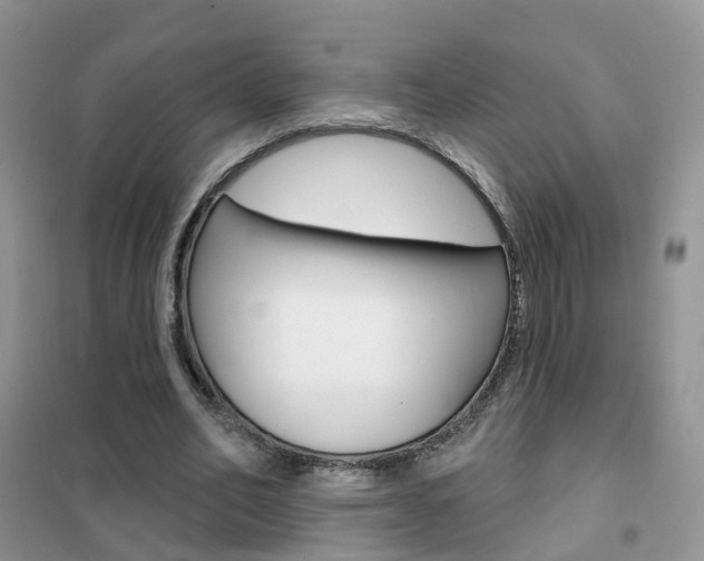 X0000102360582200808011001
