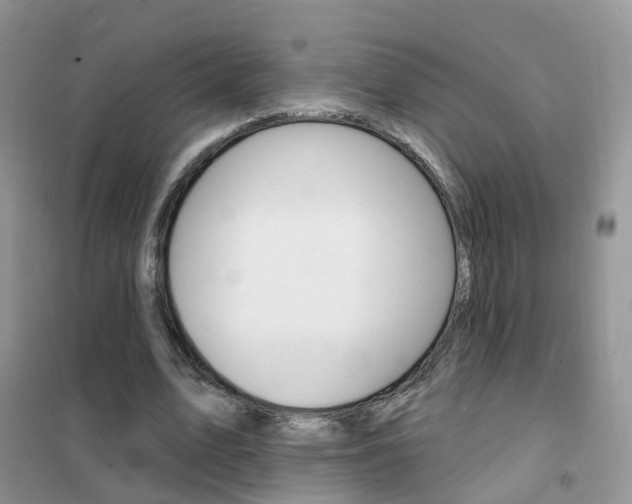 X0000102360583200808011001