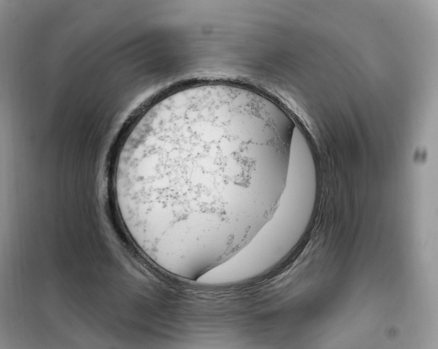 X0000102360584200808011001