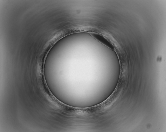 X0000102360585200808011001