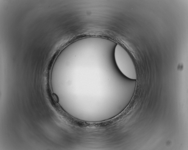 X0000102360586200808011001