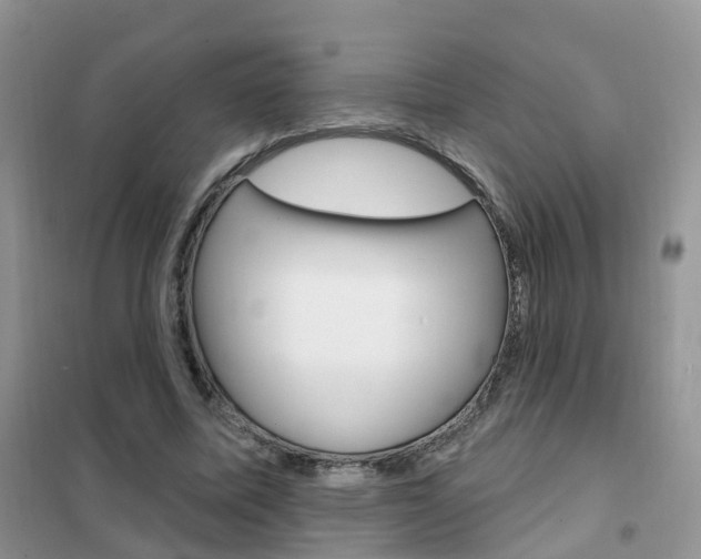 X0000102360587200808011001