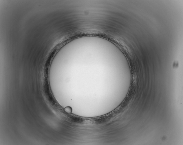 X0000102360591200808011001