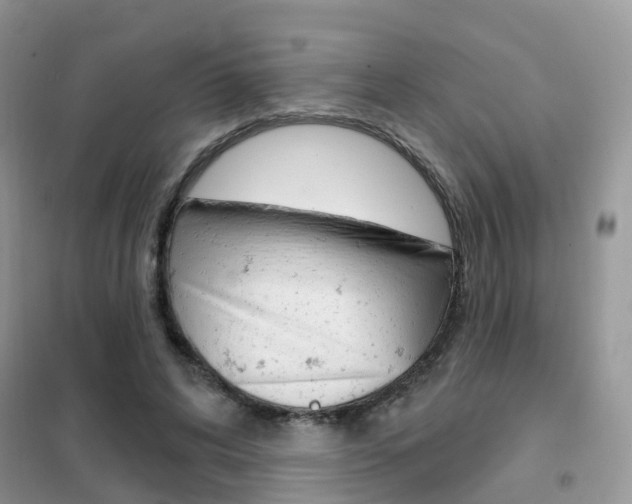 X0000102360592200808011001