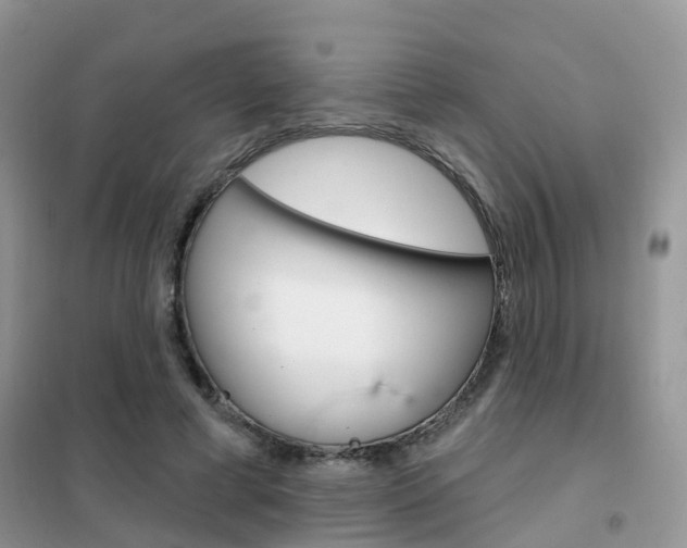 X0000102360593200808011001