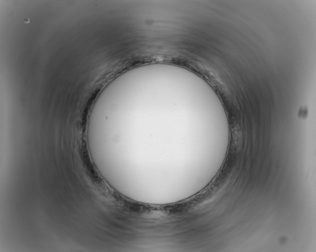 X0000102360594200808011001
