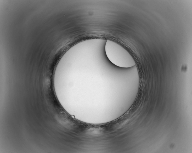 X0000102360595200808011001
