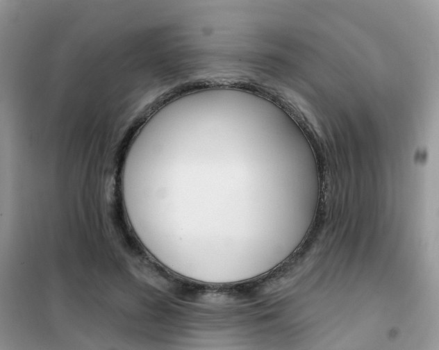 X0000102360596200808011001