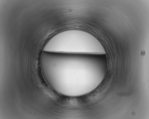 X0000102360600200808011001