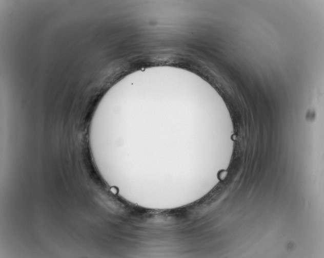 X0000102360601200808011001