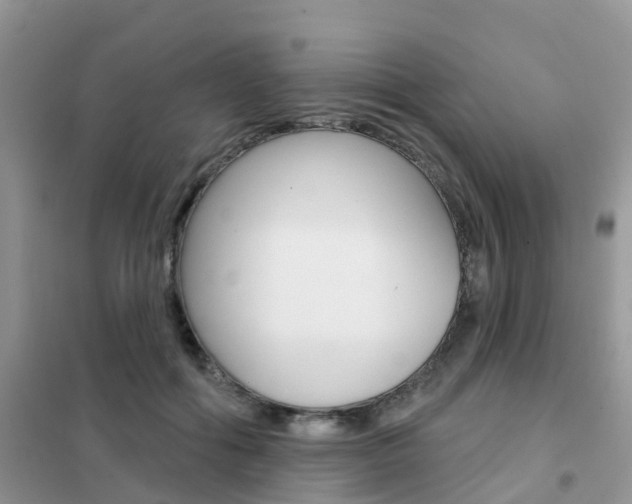 X0000102360602200808011001