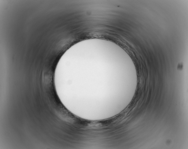 X0000102360603200808011001