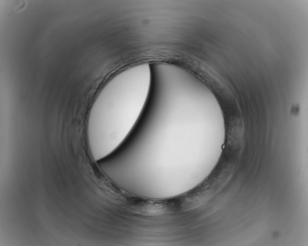 X0000102360604200808011001
