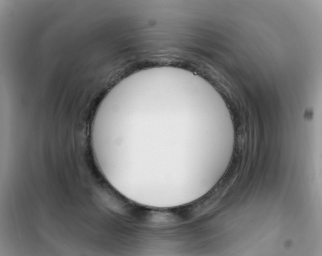 X0000102360605200808011001