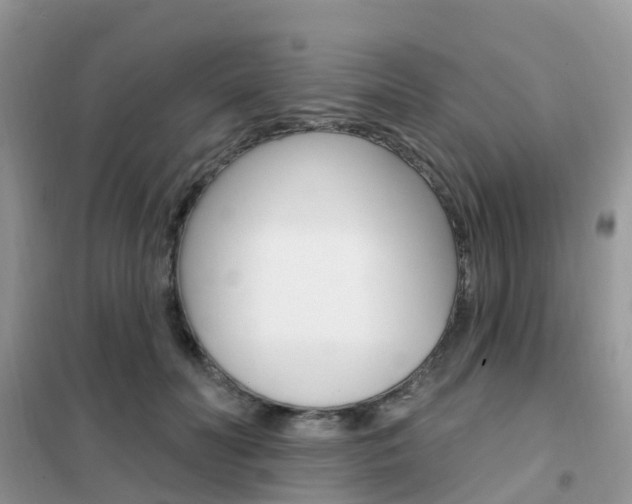 X0000102360606200808011001