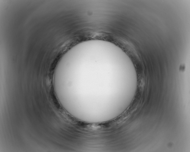 X0000102360607200808011001