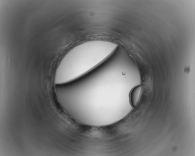 X0000102360608200808011001
