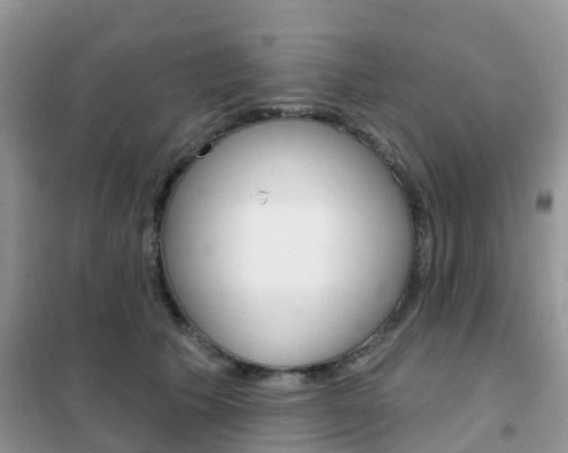 X0000102360609200808011001