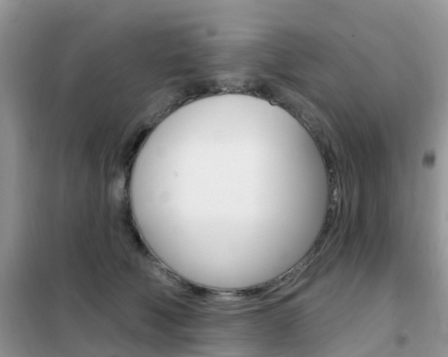 X0000102360610200808011001