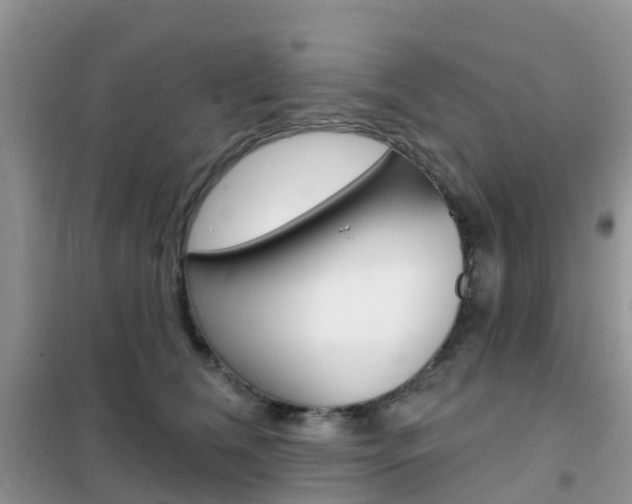 X0000102360612200808011001