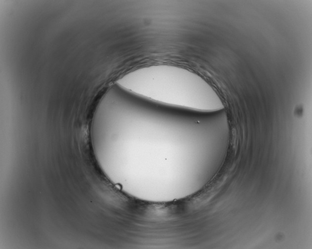 X0000102360613200808011001