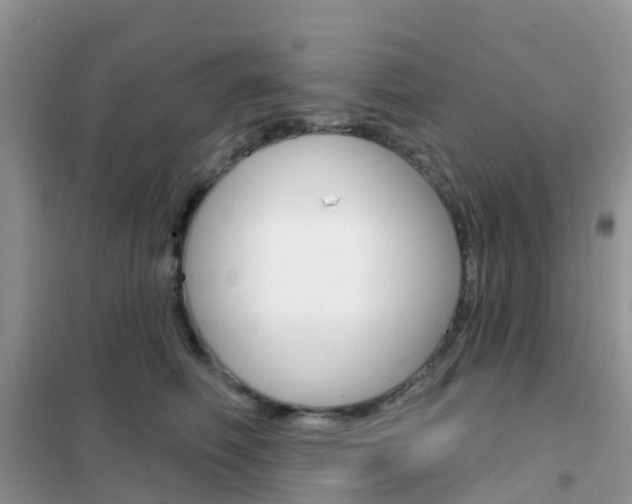 X0000102360614200808011001