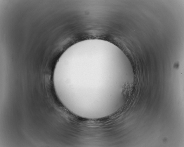 X0000102360615200808011001