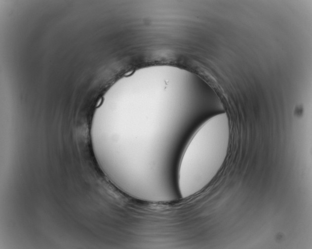 X0000102360617200808011001